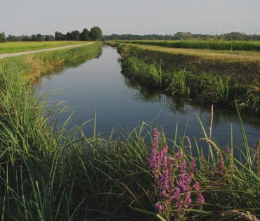 Territorio & Dintorni